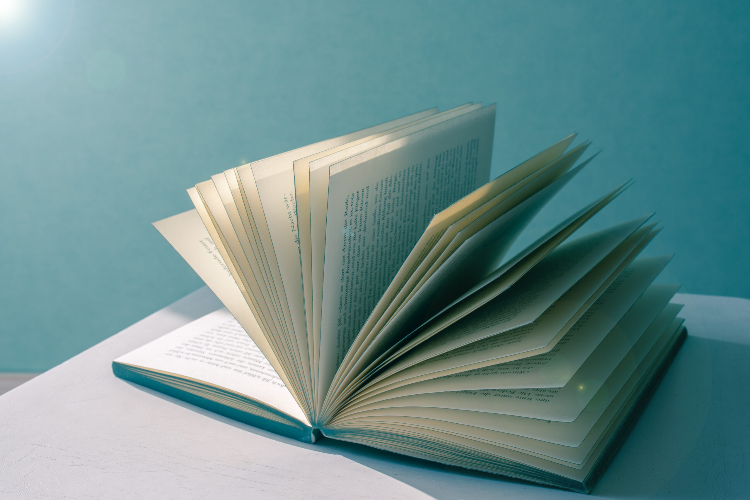Developmental Editing